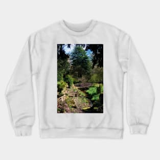 Batsford Arboretum Moreton In Marsh Cotswolds UK Crewneck Sweatshirt